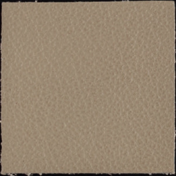 Leather-P0111