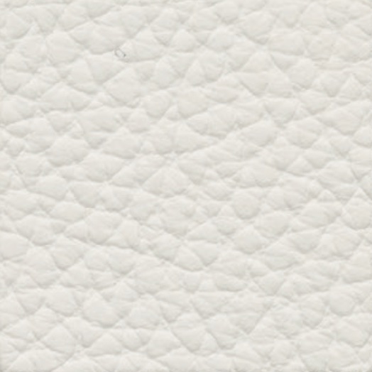 Leather-P0209