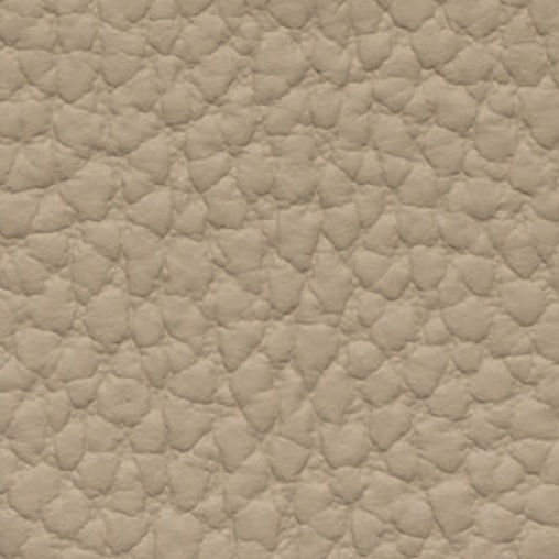 Leather-P0213