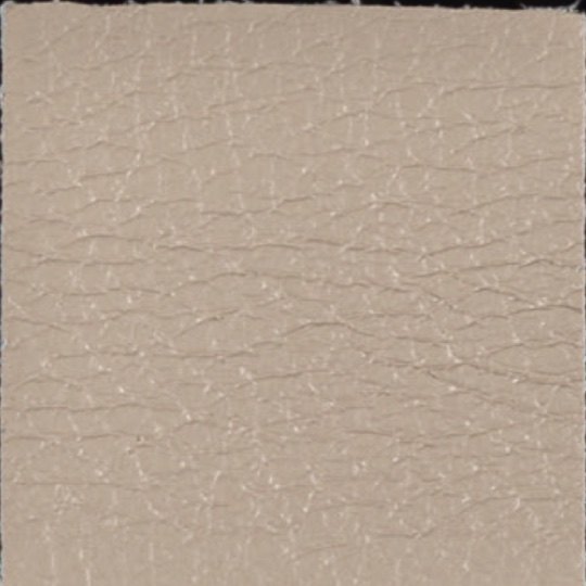 Leather-P0913