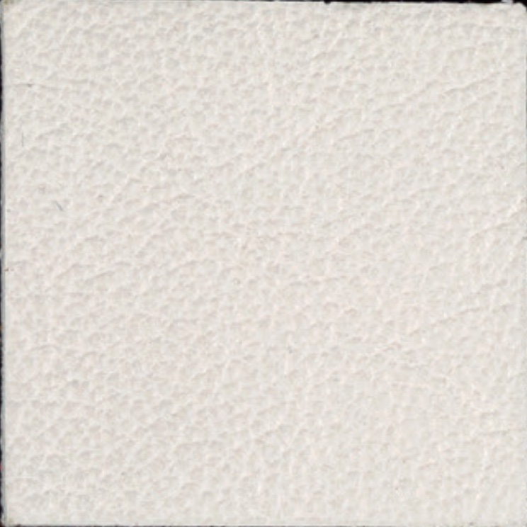 Leather-P0109