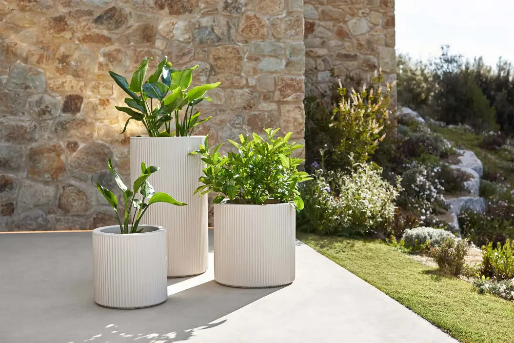 Planters Collection