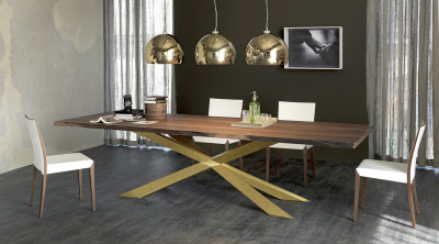 Modern wood store dining table